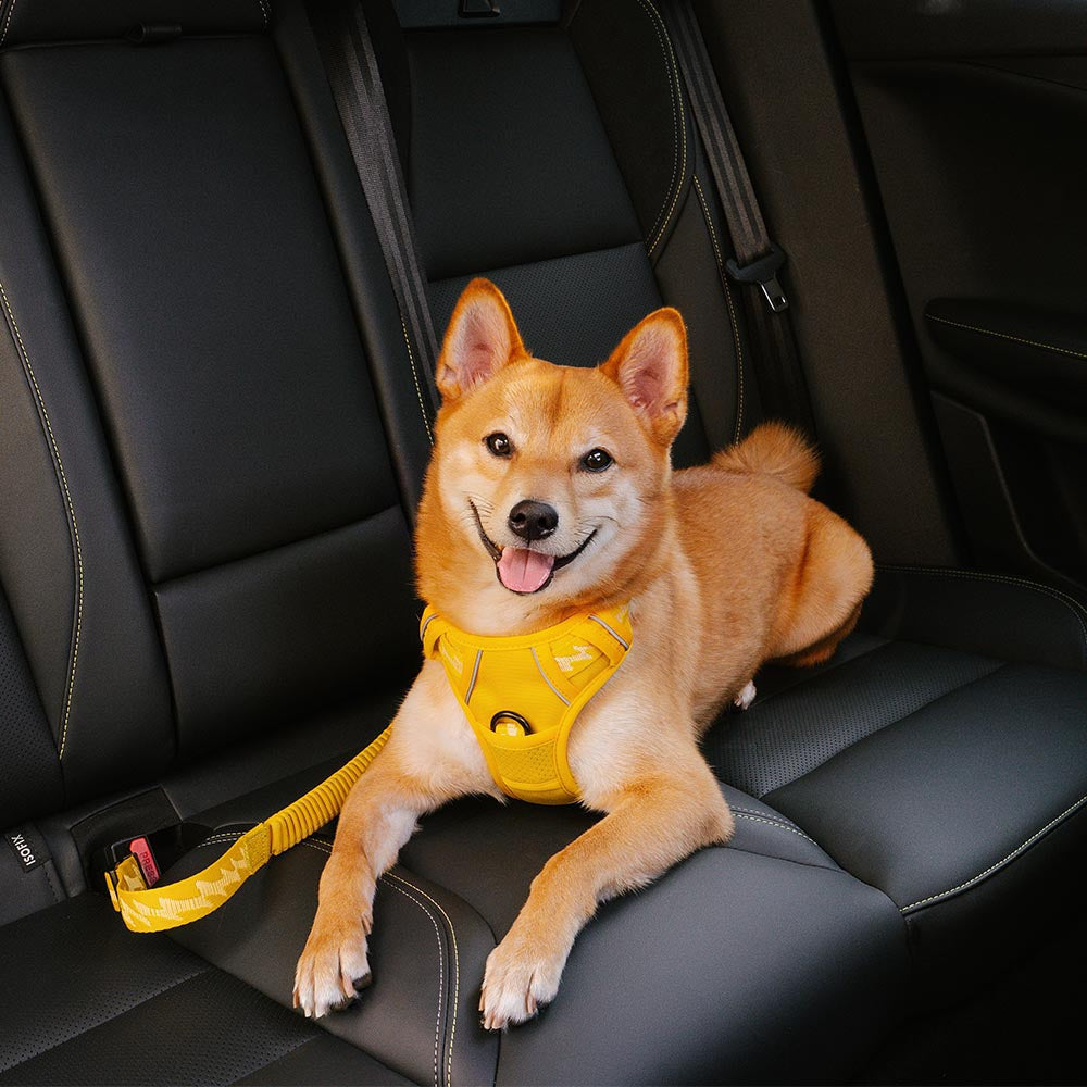 Pet Safety Car Seat Belt Buffer Adjustable Dog Accessories