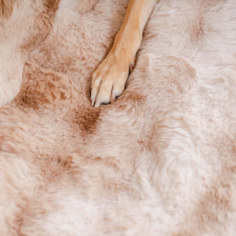 Safety Sofa Fluffy Cozy Calming Pet Blanket Car Seat Protector Cover- Surestep