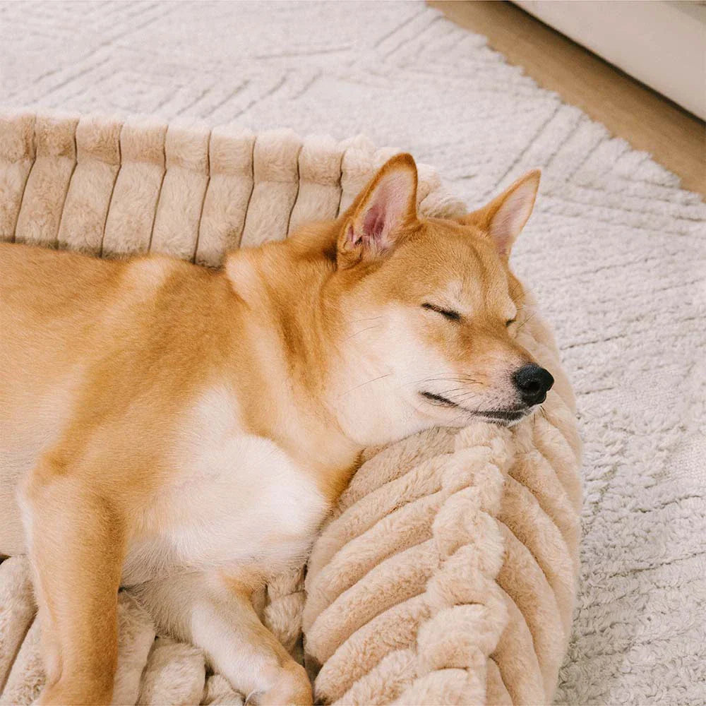 Pet Plush Warmth Removable Orthopedic Wedge Bolster Dog Sofa Bed - CozySlope