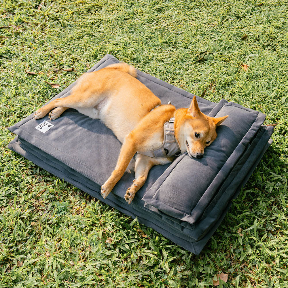 Pet Anti-Anxiety with Sponge Support Deep Sleeping Dog Bed