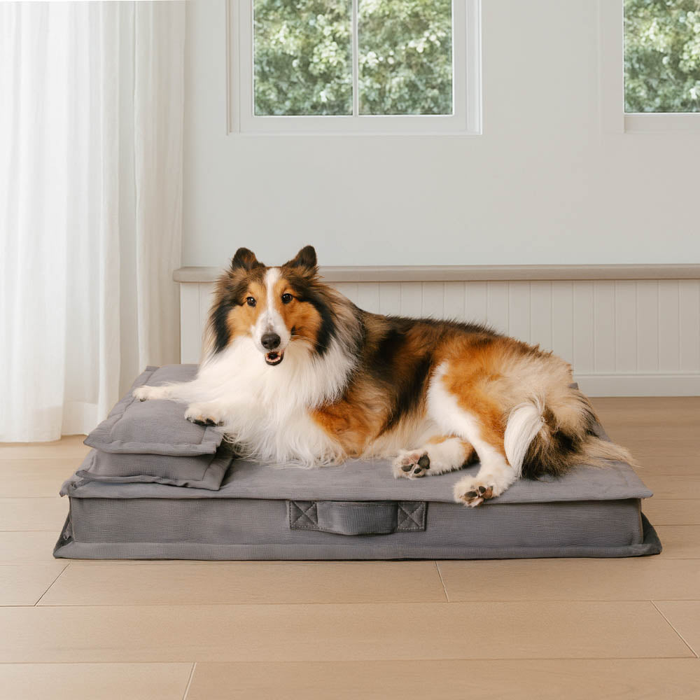Pet Anti-Anxiety with Sponge Support Deep Sleeping Dog Bed