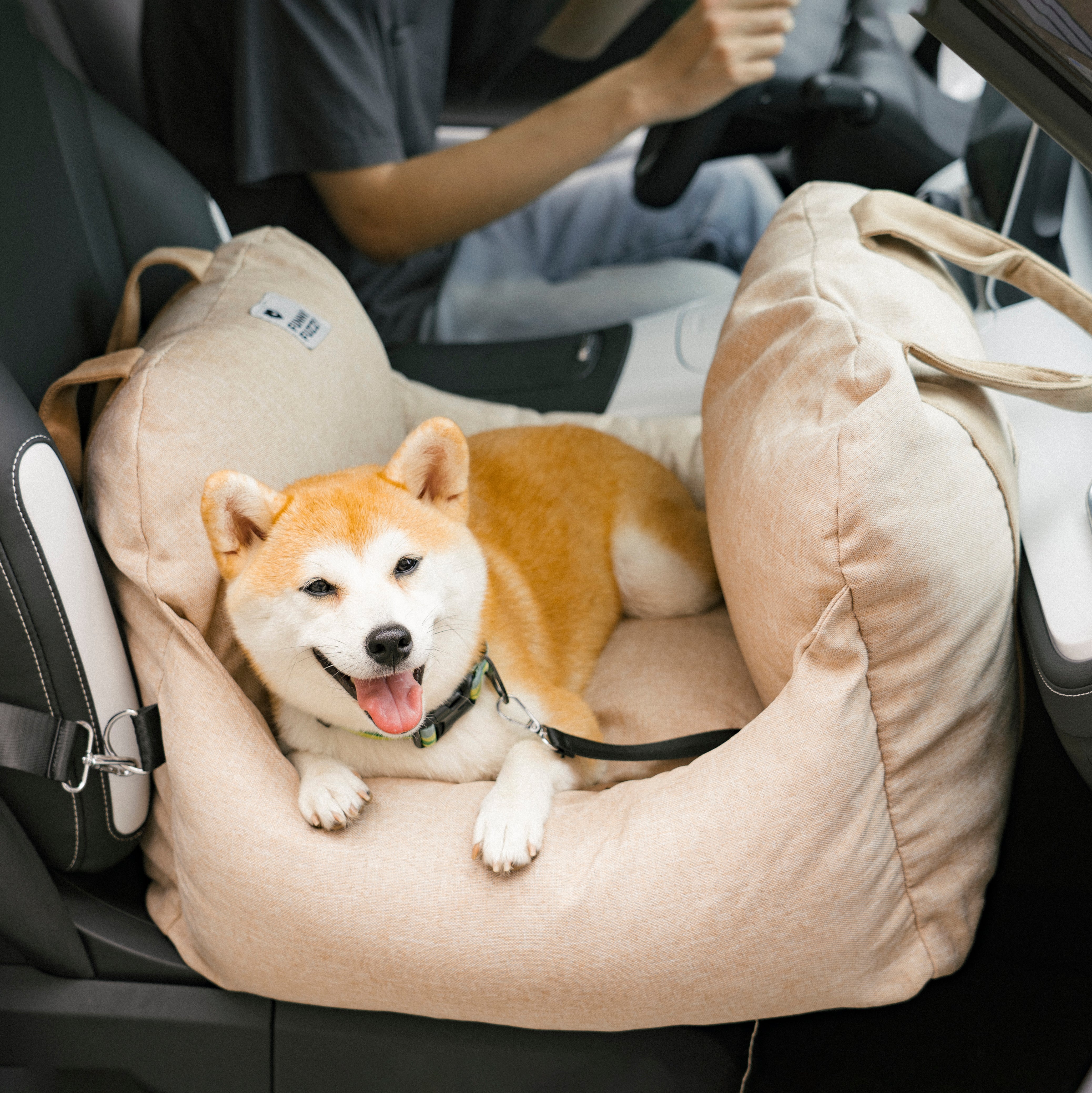 Pet Safety Dog Car Seat Bed - First Class