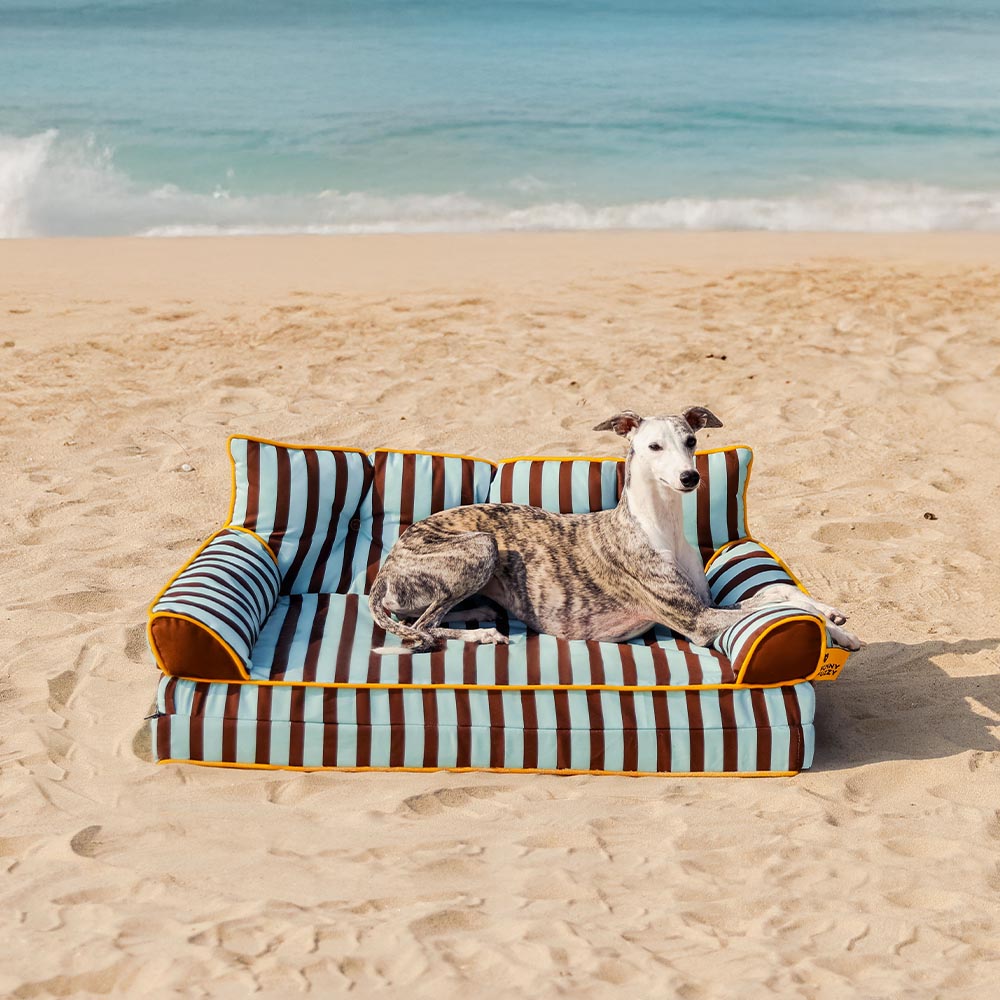 Pet Stripe Waterproof Foldable Large Dog Sofa Bed - Sunny Siesta