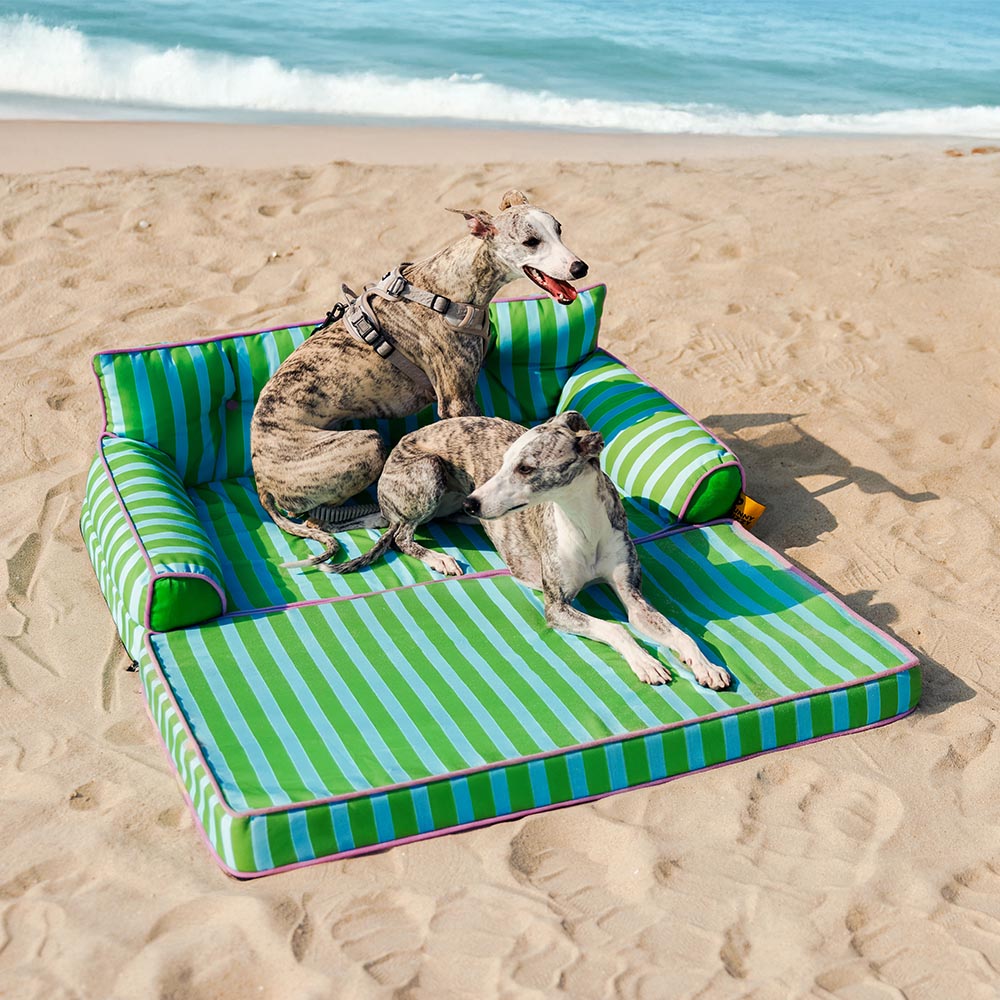 Pet Stripe Waterproof Foldable Large Dog Sofa Bed - Sunny Siesta