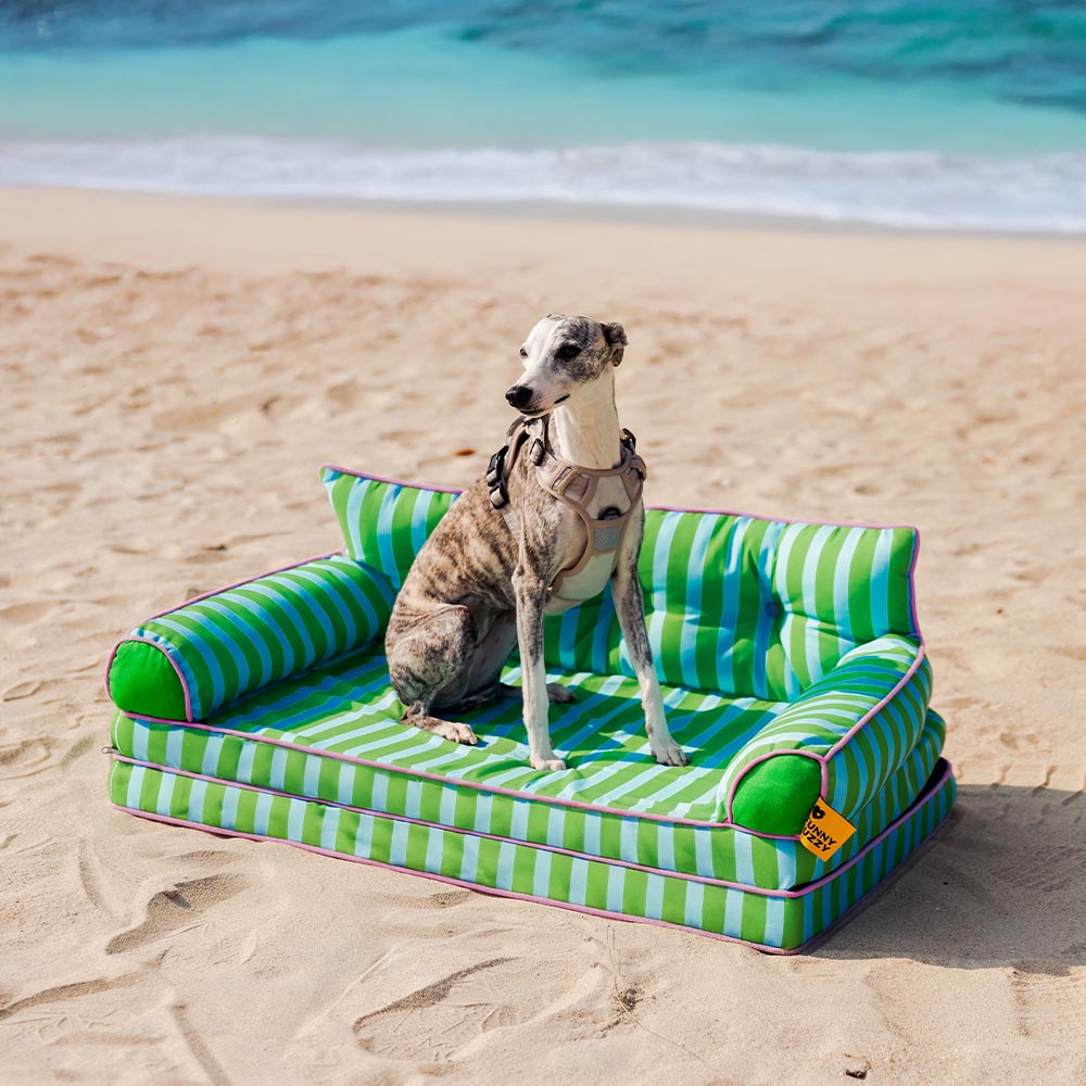 Pet Stripe Waterproof Foldable Large Dog Sofa Bed - Sunny Siesta