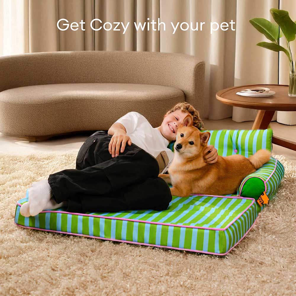Pet Stripe Waterproof Foldable Large Dog Sofa Bed - Sunny Siesta
