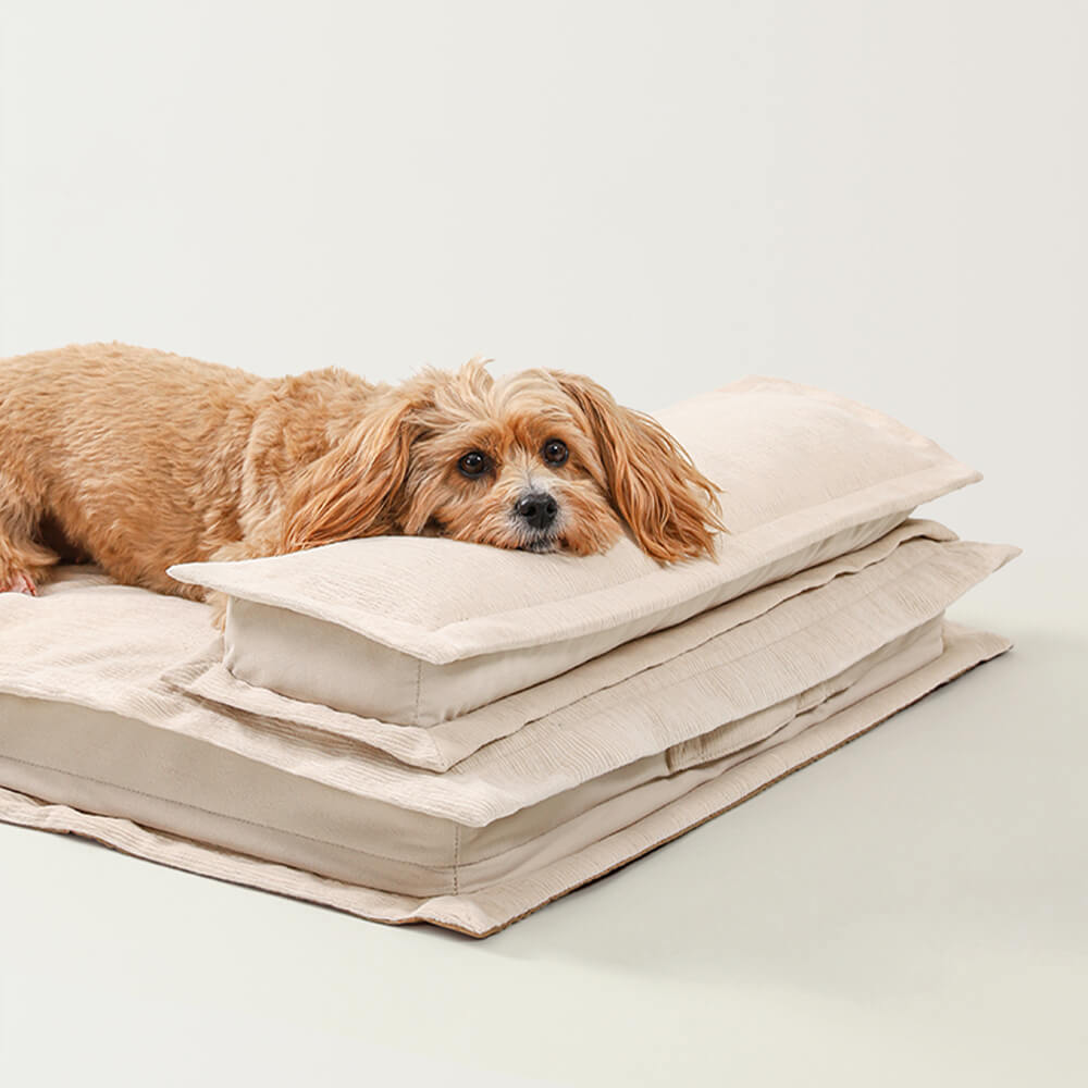 Pet Anti-Anxiety with Sponge Support Deep Sleeping Dog Bed