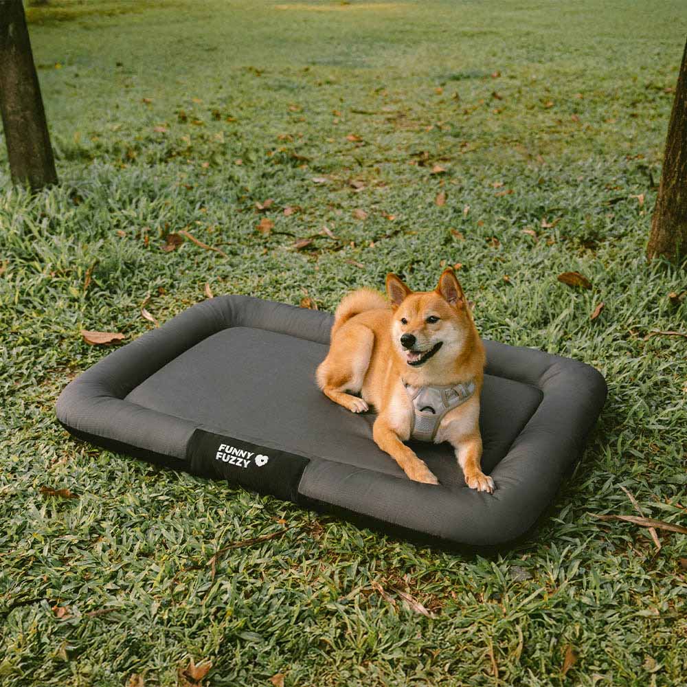 Pet Outdoor Waterproof & Chew-proof Memory Foam Orthopedic Dog Mat - Trek Lounge