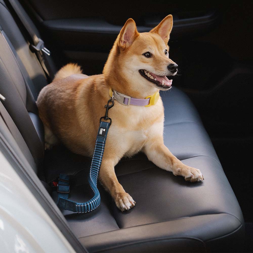 Pet Safety Car Seat Belt Buffer Adjustable Dog Accessories