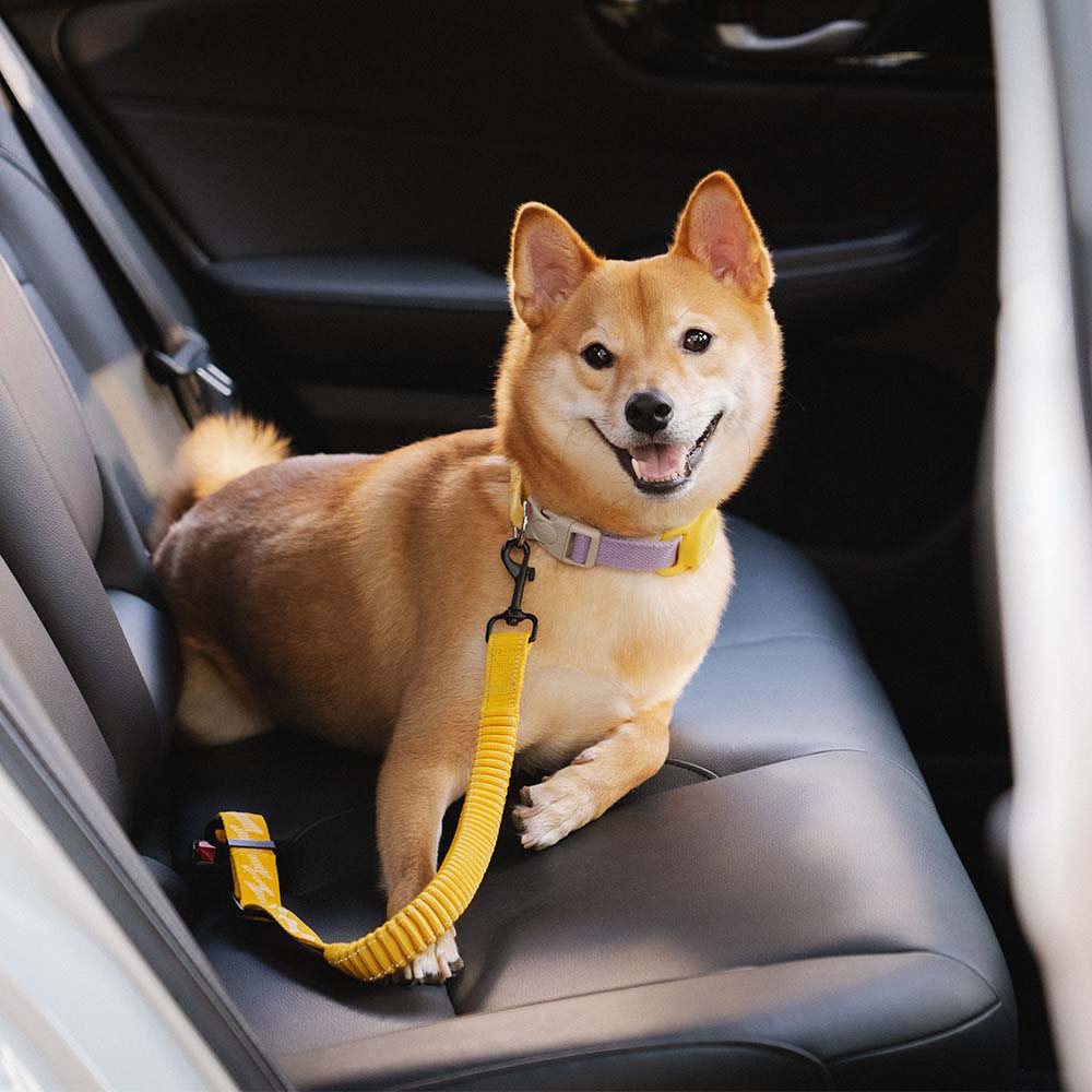 Pet Safety Car Seat Belt Buffer Adjustable Dog Accessories