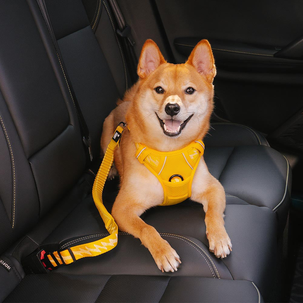 Pet Safety Car Seat Belt Buffer Adjustable Dog Accessories