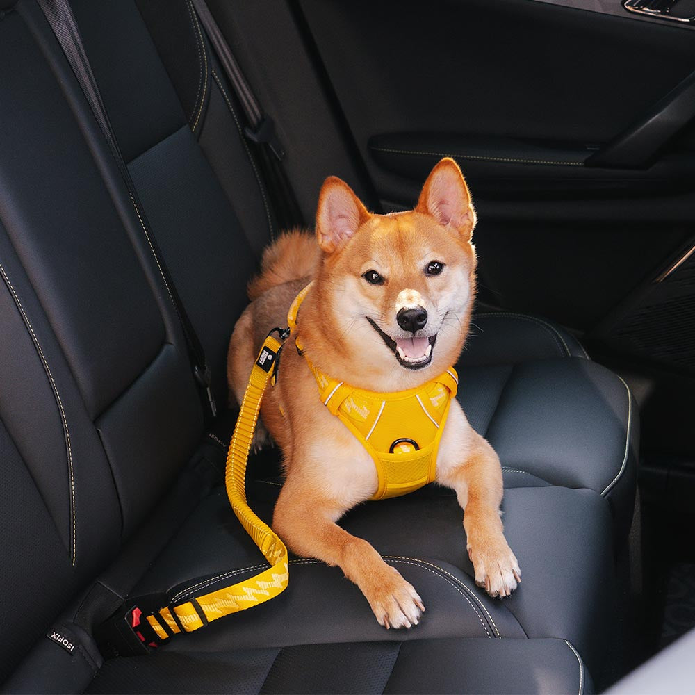 Pet Safety Car Seat Belt Buffer Adjustable Dog Accessories