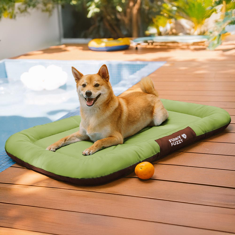 Pet Outdoor Waterproof ＆ Chew-proof Memory Foam Orthopedic Dog Mat - Trek Lounge