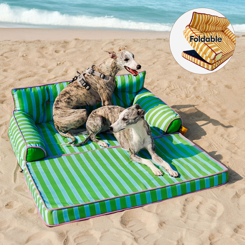 Pet Stripe Waterproof Foldable Large Dog Sofa Bed - Sunny Siesta
