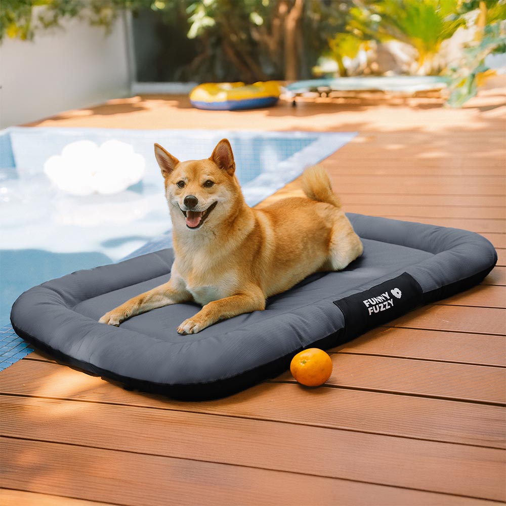 Pet Outdoor Waterproof ＆ Chew-proof Memory Foam Orthopedic Dog Mat - Trek Lounge