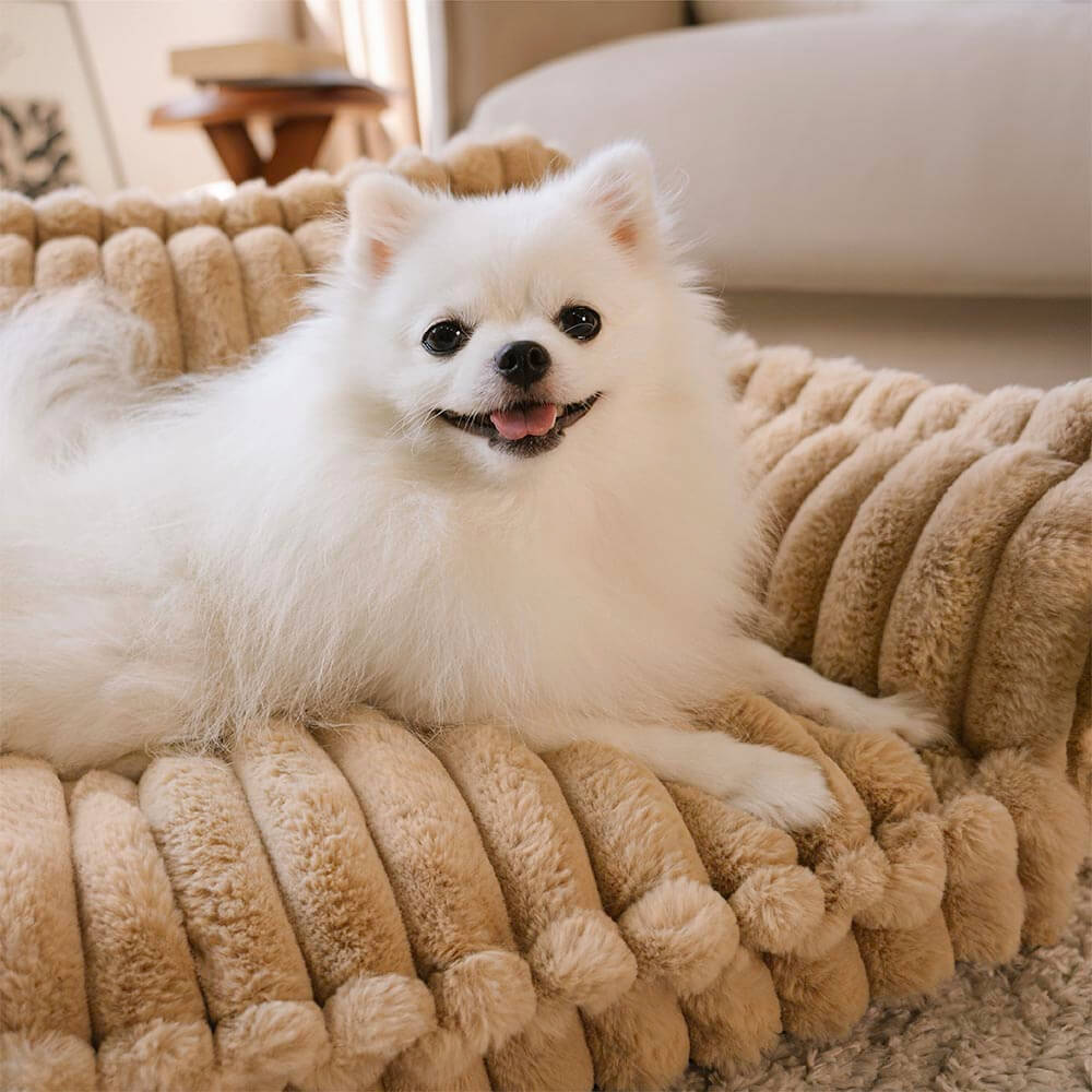 Pet Large Washable Fluffy Orthopedic Soft Dog Pillow Dog Sofa Bed-Snoozy Dream