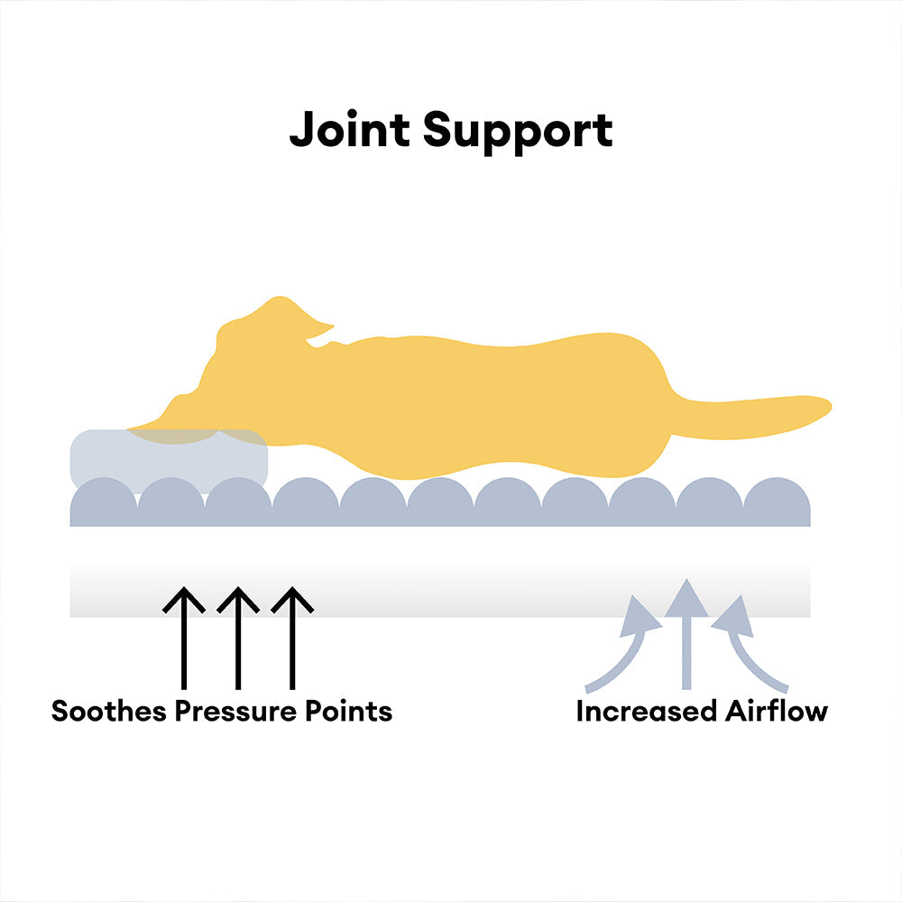 Pet Large Washable Fluffy Orthopedic Soft Dog Pillow Dog Sofa Bed-Snoozy Dream