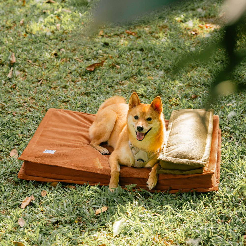 Pet Anti-Anxiety with Sponge Support Deep Sleeping Dog Bed