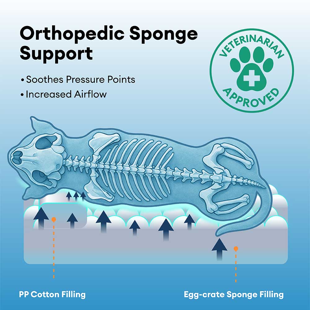 Pet Anti-Anxiety with Sponge Support Deep Sleeping Dog Bed