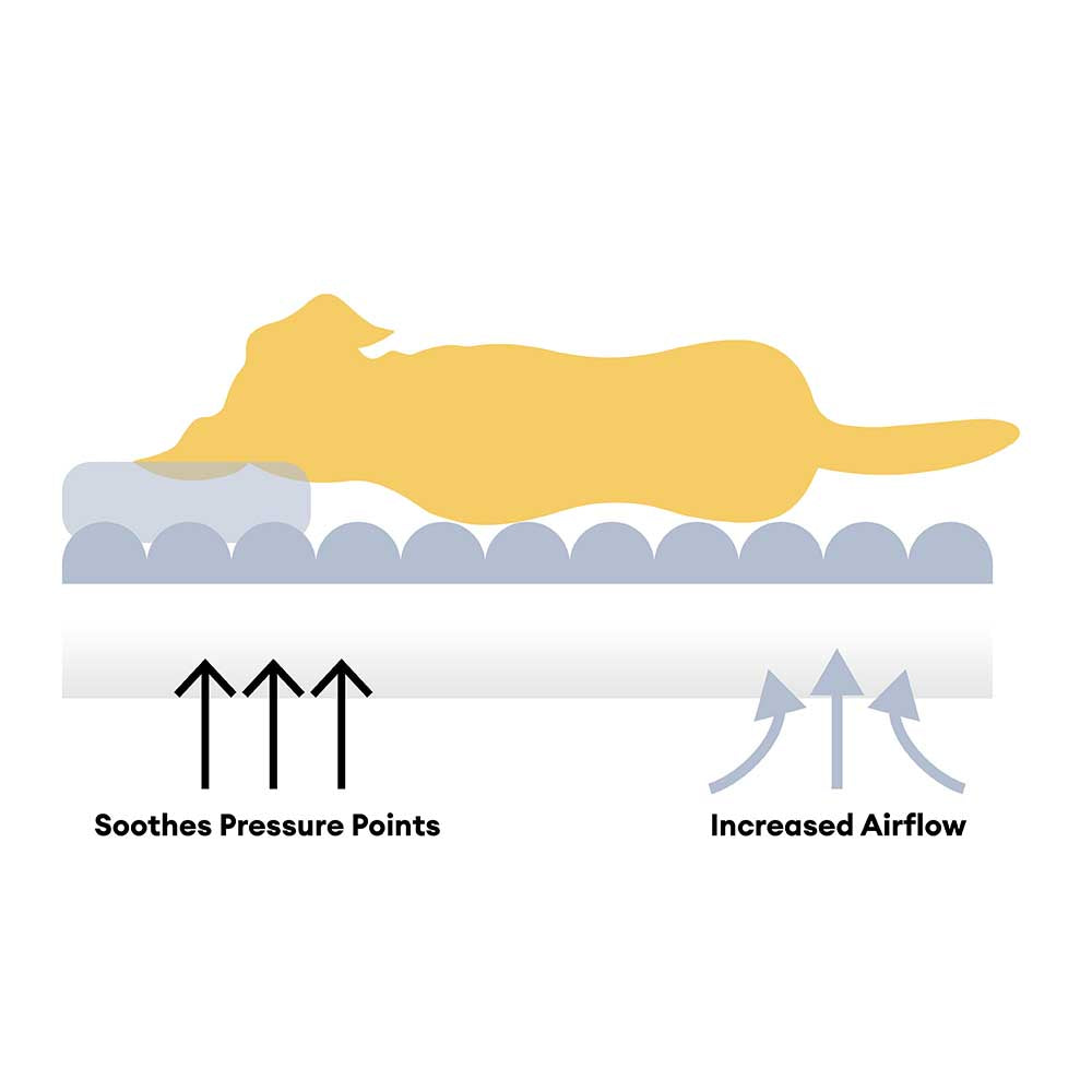 Pet Creamy Plush Super Large Donut Human Dog Bed - Cuddle Cradle