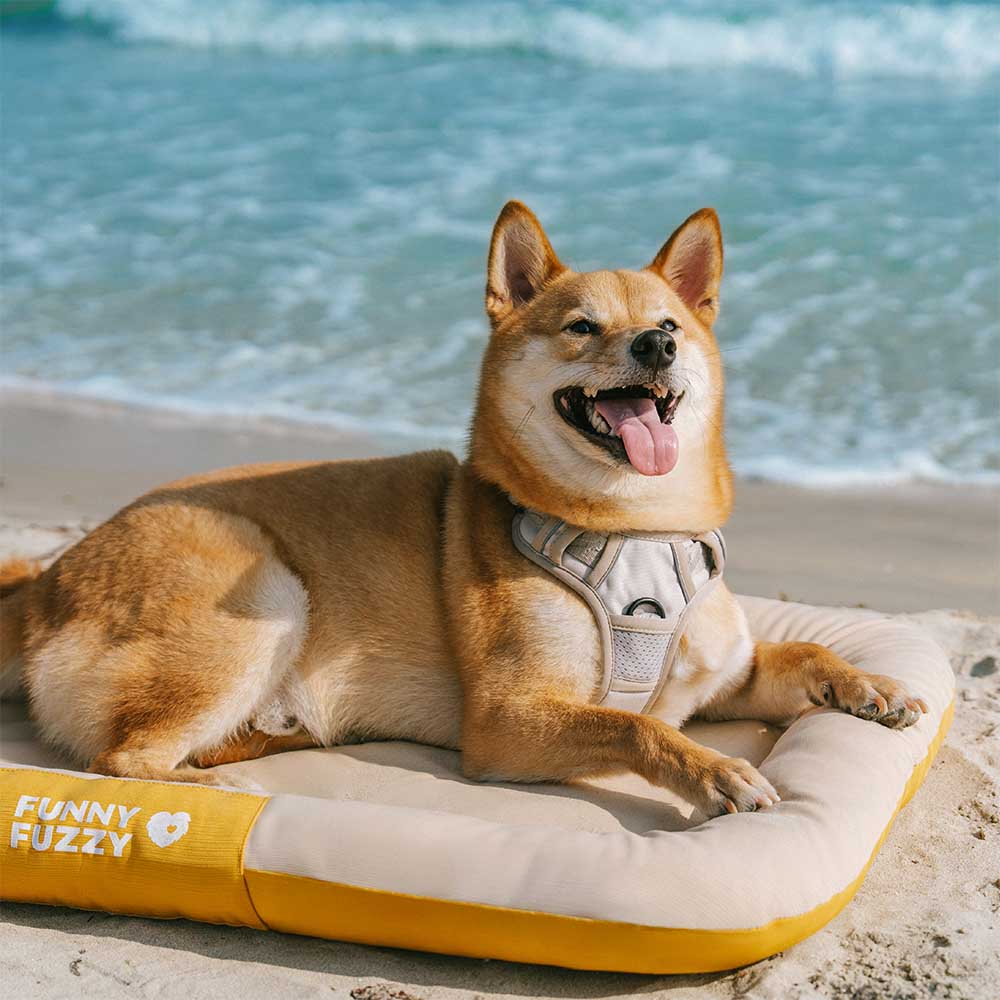 Pet Outdoor Waterproof ＆ Chew-proof Memory Foam Orthopedic Dog Mat - Trek Lounge