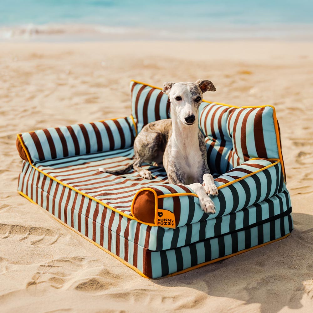 Pet Stripe Waterproof Foldable Large Dog Sofa Bed - Sunny Siesta