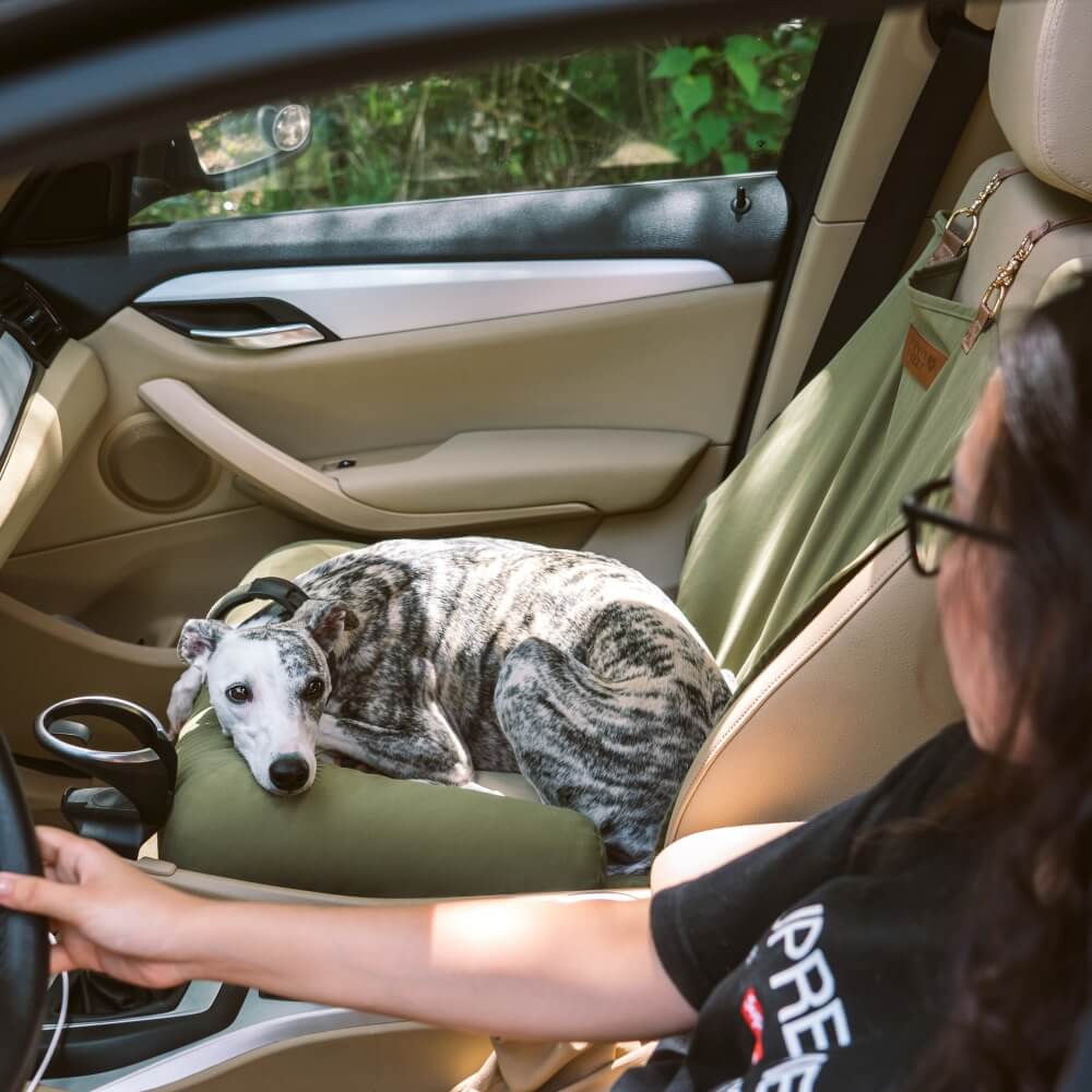 Pet Travel Bolster Safety Back Seat Large Dog Car Seat Bed - Chessboard Lounge