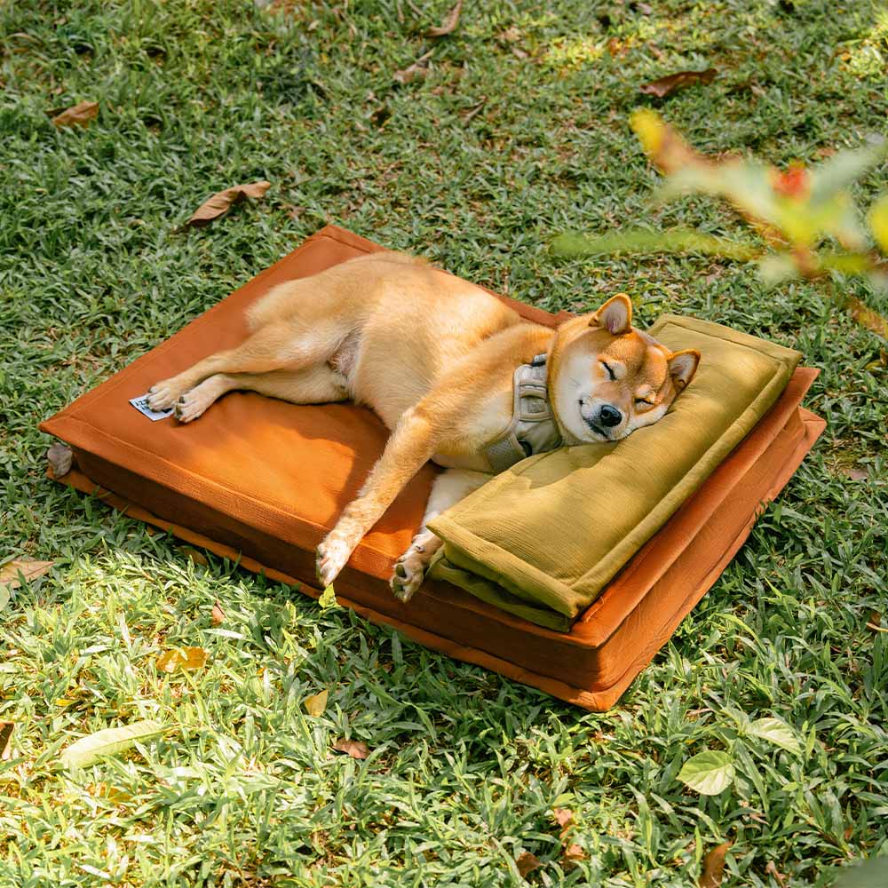 Pet Anti-Anxiety with Sponge Support Deep Sleeping Dog Bed